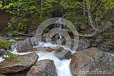 River Sream Mount Washinton area via Ammonoosuc ravine trail Stock Photo