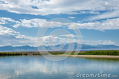 River in steppe. prairie Stock Photo