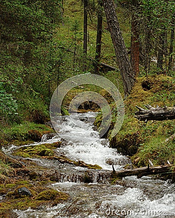 River stream Stock Photo