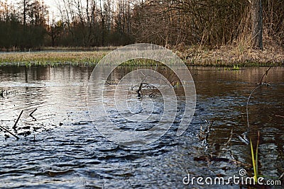 River string under the bridge Stock Photo