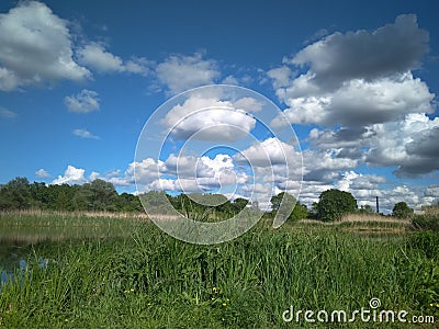 River in summer, dense thickets of grass, blue sky and clouds Stock Photo