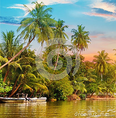 River, sunrise and tropical palms Stock Photo