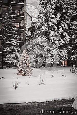 A river surrounded by snow in Vail, Colorado during winter. Stock Photo