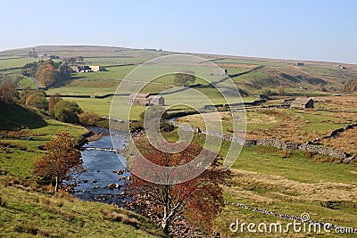 River Swale, upper Swaledale, Yorkshire Dales, UK Stock Photo