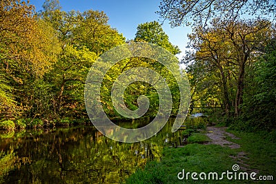 River Teign at the foot of the gorge Stock Photo