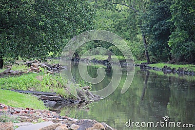 River Stock Photo
