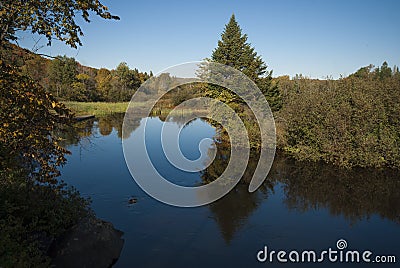 River with tress at begining of fall Stock Photo