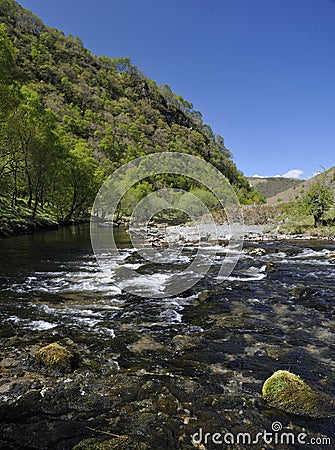 River Tywi RSPB Dinas Stock Photo