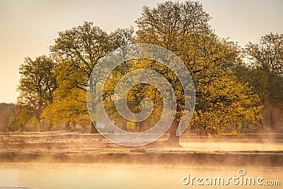 River Ubarc' (Belarus) at sunrise Stock Photo