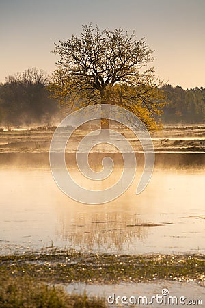 River Ubarc' (Belarus) at sunrise Stock Photo