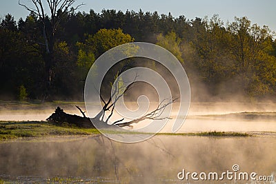 River Ubarc' (Belarus) at sunrise Stock Photo