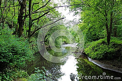 River in the vale Stock Photo