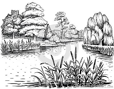 River vector landscape with trees and water plants, hand drawn illustration. Vector Illustration