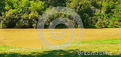 River water trees natural photography wood forests muddy waters Stock Photo