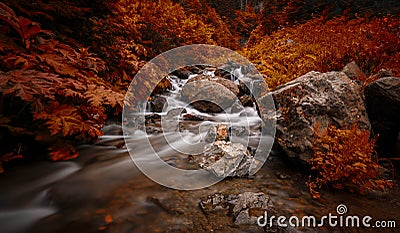 River waterfall landscape photography in the Autumn Stock Photo