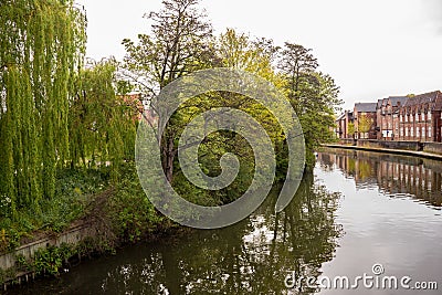 A view down the River Wensum in the city of Norwich, Norfolk Editorial Stock Photo
