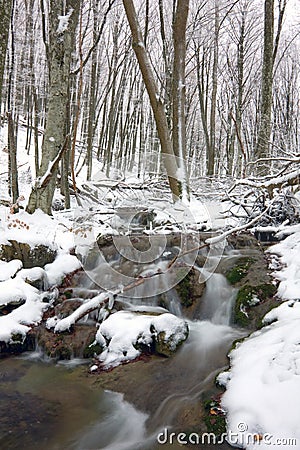 River in winter forest Stock Photo