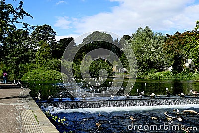 River Wye, Bakewell. Editorial Stock Photo