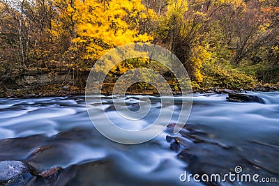 River and yellow leaf in fall Stock Photo