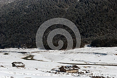 River at Yumthang Valley Editorial Stock Photo