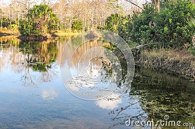 Riverbend Park in Jupiter, Florida Stock Photo