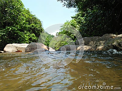 Rivers Myself beautiful Rock trees Stock Photo