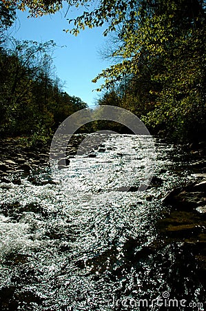 Rivers Trees and Rocks Stock Photo