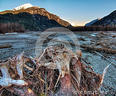 Riverside tree stump with mountains at sunrise Stock Photo