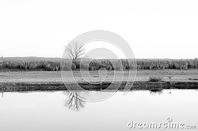 Riverside trees and their reflection in the water Stock Photo