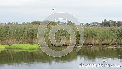 Rivière de Havel le bateau est entraînement, passant par paysage typique avec des prés et des essais de saule Région de Havelland clips vidéos Rivière de Havel le bateau est entraînement, passant par paysage typique avec des prés et des essais de saule Région de Havelland clips vidéos