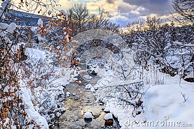 Rivulet during winter Stock Photo