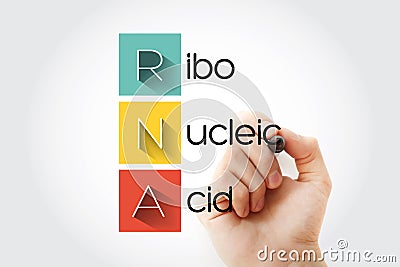 RNA - Ribonucleic acid acronym with marker, medical concept background Stock Photo