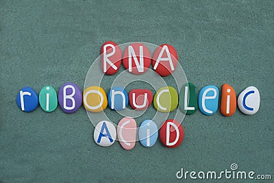 RNA, Ribonucleic acid text composed with multi colored stone letters over green sand Stock Photo