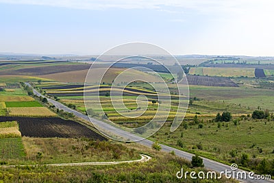 Road through agrarian fields Stock Photo