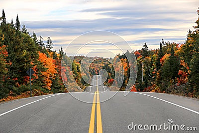 Road through Algonquin Provincial Park in fall, Ontario, Canada Stock Photo