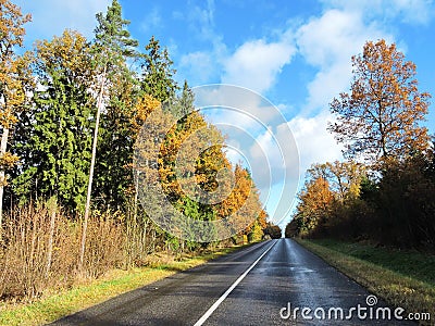 Colorful autumn trees and road Stock Photo