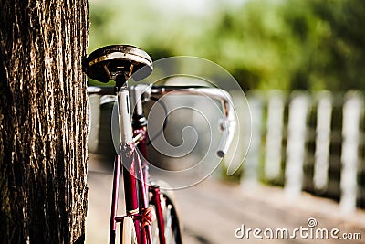 Road bicycle on city street Stock Photo