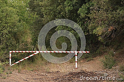 Road blocked. Access to the forest with trees with green leaves Stock Photo