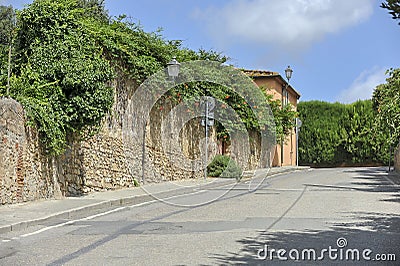 Road in Bolgheri, Italy Stock Photo