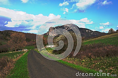 Road and Bugarach peak in the Corbieres, France Stock Photo