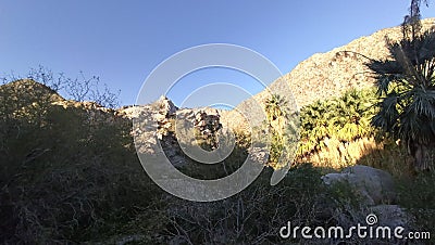 Road canyon Guadalupe baja California hiking spring vacation mountain Creek relax desert Stock Photo