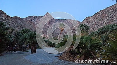 Road canyon Guadalupe baja California hiking spring vacation mountain Creek relax desert Stock Photo