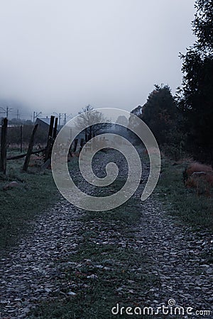 Road in countryside. Morning foggy pathway in Carpathian village. Footpath in autumn field with fence. Rural dirty road in mist Stock Photo