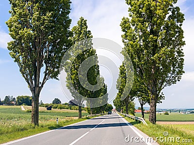 Road in countryside near Vienna, Austria Editorial Stock Photo