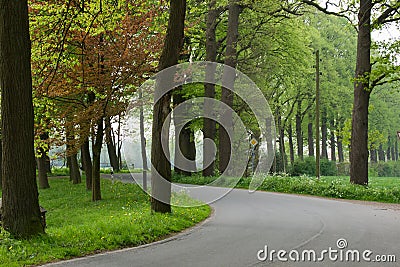 Road with a curve in the Dutch landscape Stock Photo