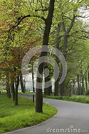 Road with curve in Dutch landscape Stock Photo