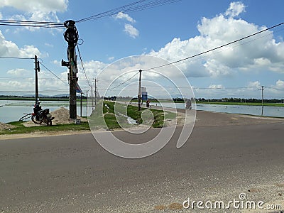 The road cuts across rice fields and electric poles Editorial Stock Photo