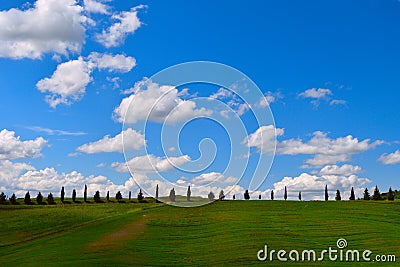 Road with cypress trees in the fields of Tuscany Stock Photo