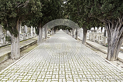Road with depth in a cemetery Stock Photo