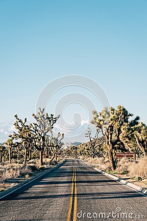 Road in the desert, in Joshua Tree National Park, California Stock Photo